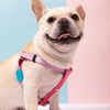 Furmanity Adjustable Dog Harnesses