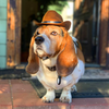 Furmanity Dog Cowboy Hat Halloween Costume