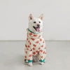 Furmanity Dog Raincoat