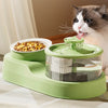 Furmanity Double Automatically Water Fountain Bowl